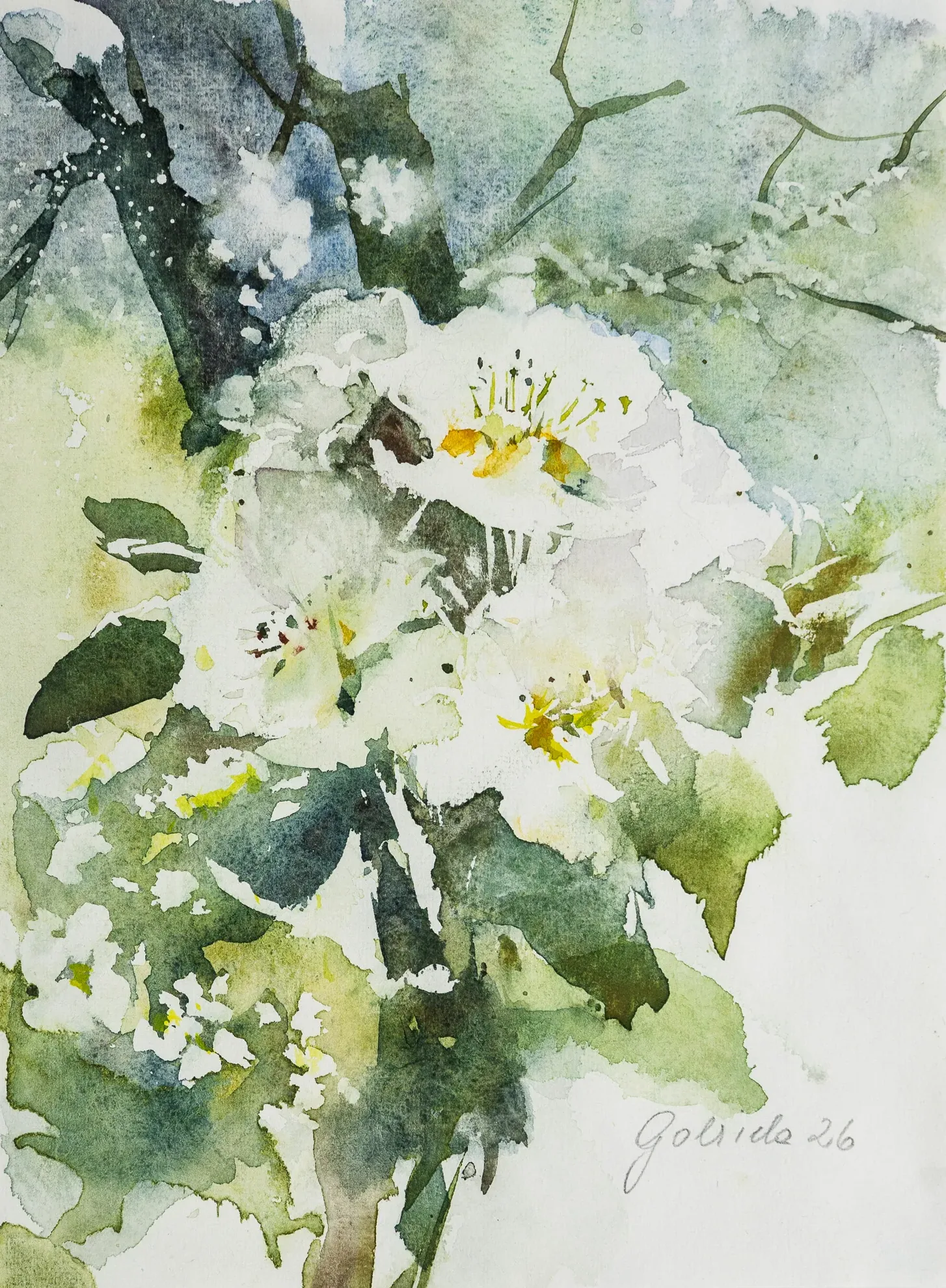 Apfelblüten (modern) — Aquarell von Gabriele Schmitzer