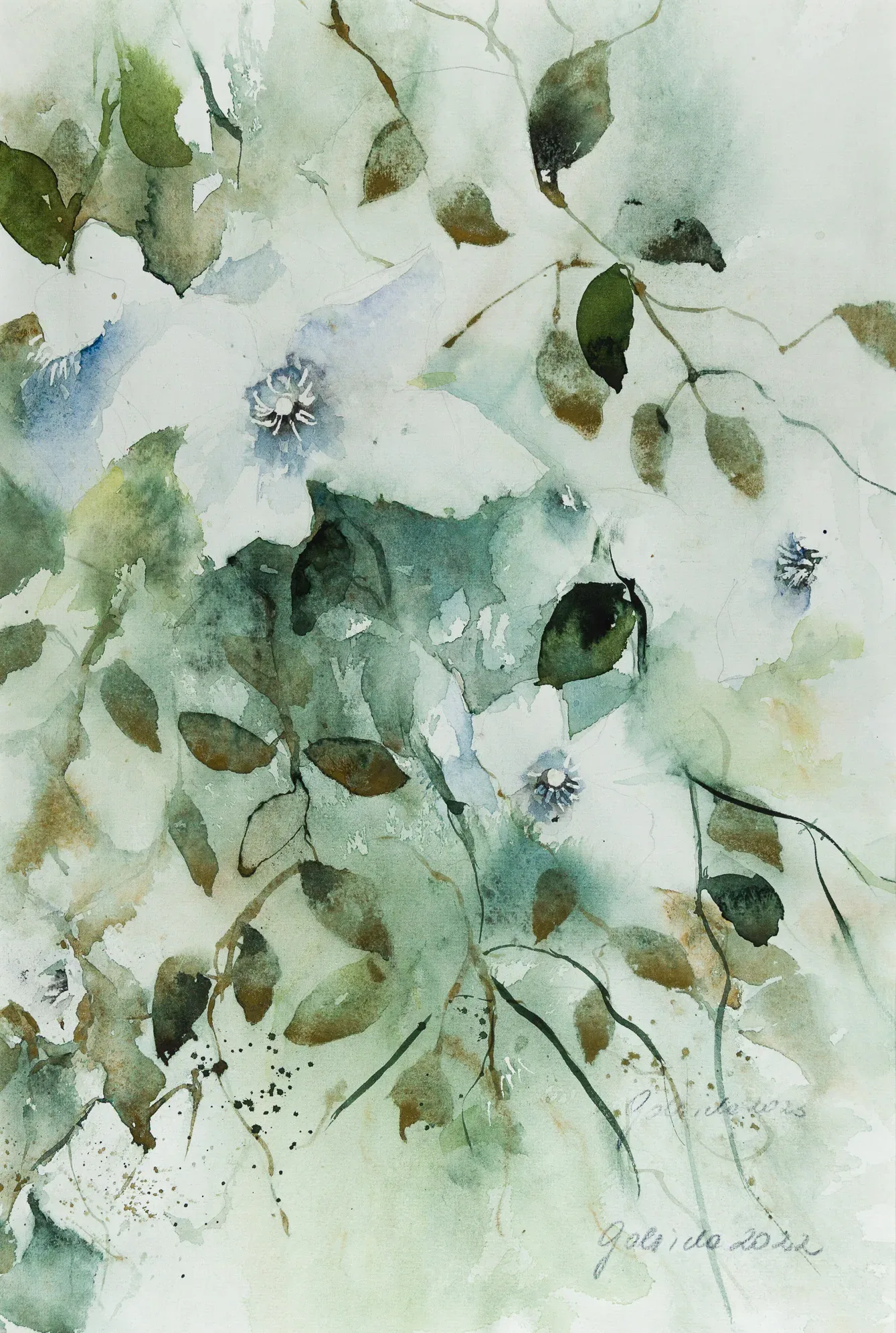 Clematis — Aquarell von Gabriele Schmitzer
