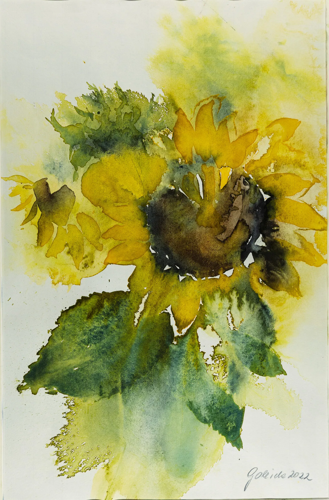 Sonnenblumen — Aquarell von Gabriele Schmitzer